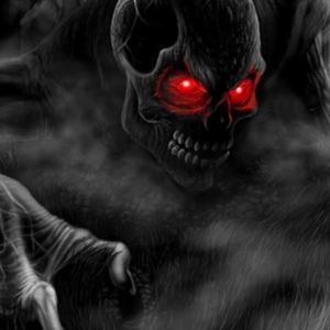 Meet your Posher, Austin